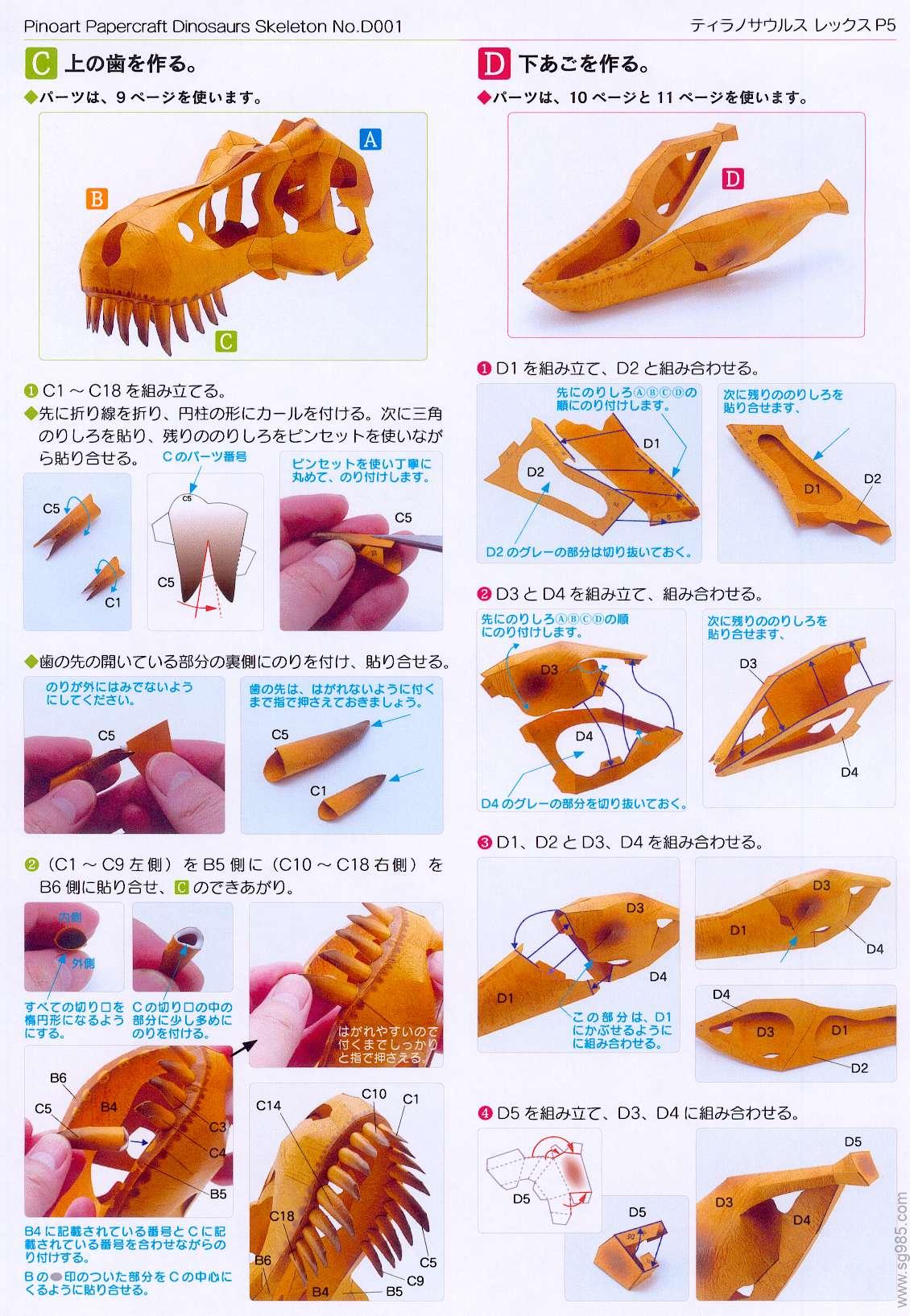 霸王龙头骨-去色版