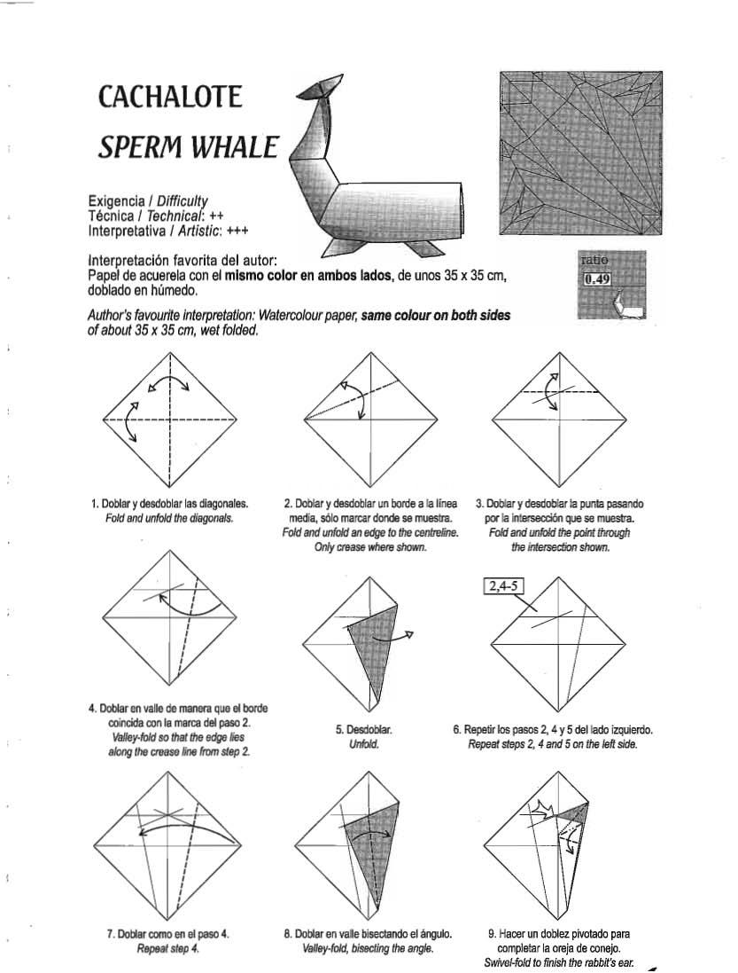 精品纸模-抹香鲸