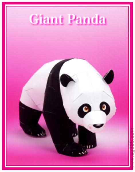 熊猫-动物纸模