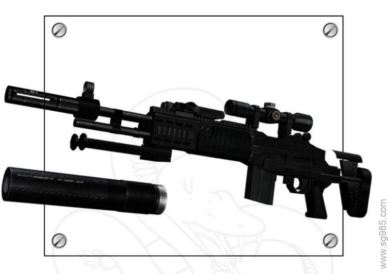 m14+EBR+步枪