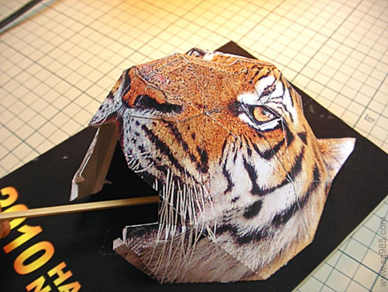 虎动物纸模