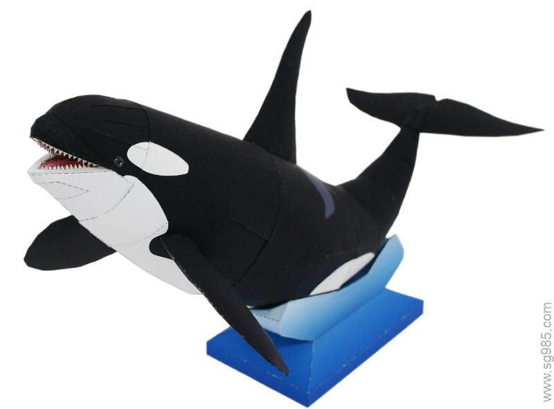 虎鲸动物纸模