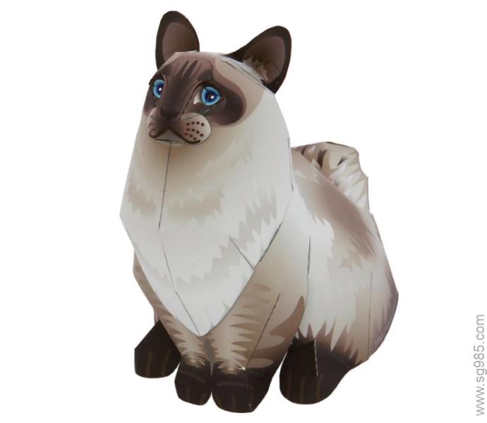 布偶猫