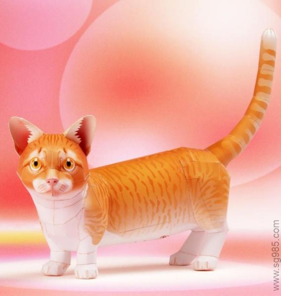 曼基康猫