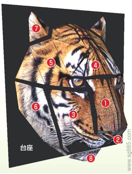 虎动物纸模
