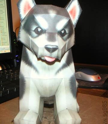 纸模小狗哈士奇