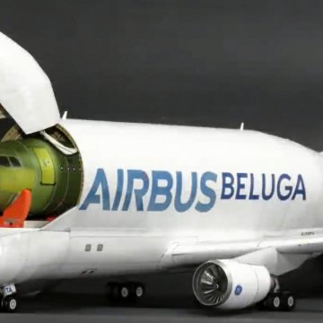 纸工艺品白鲸空中巴士A300纸工艺品纸模型-纸模飞机a300图纸下载