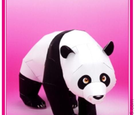熊猫-动物纸模