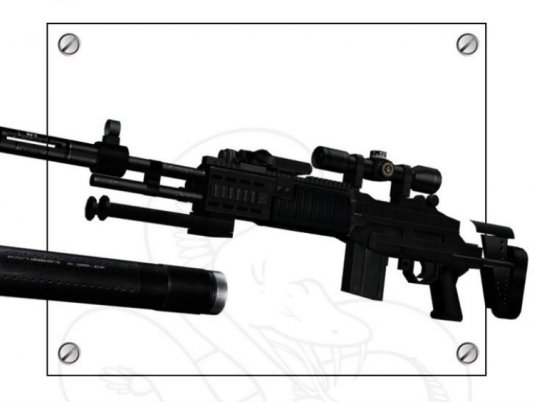 m14+EBR+步枪