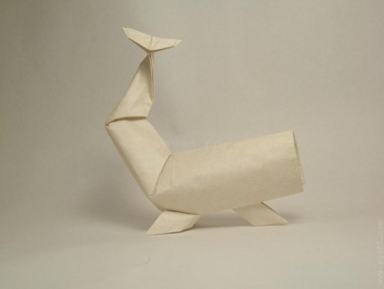 精品纸模-抹香鲸